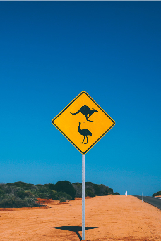 kangaroo sign